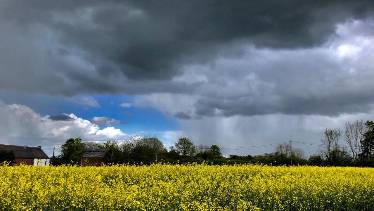 Vila La Souriciere Silenrieux Exteriér fotografie